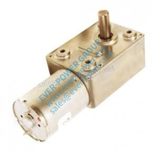 micro worm gear