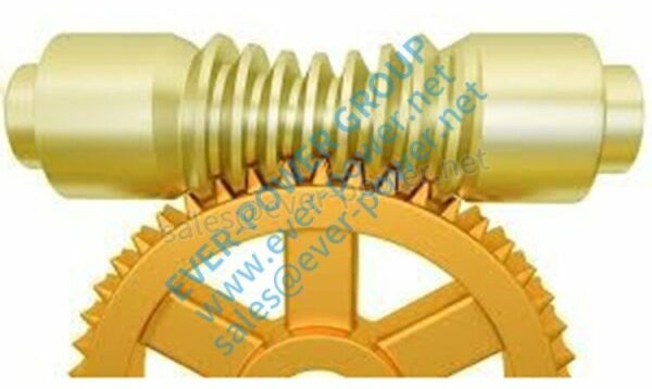 Globoid Worm Gear
