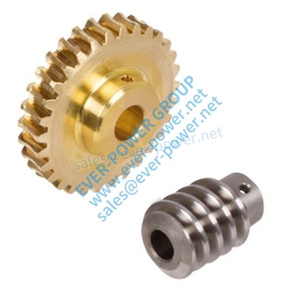 precision worm gear