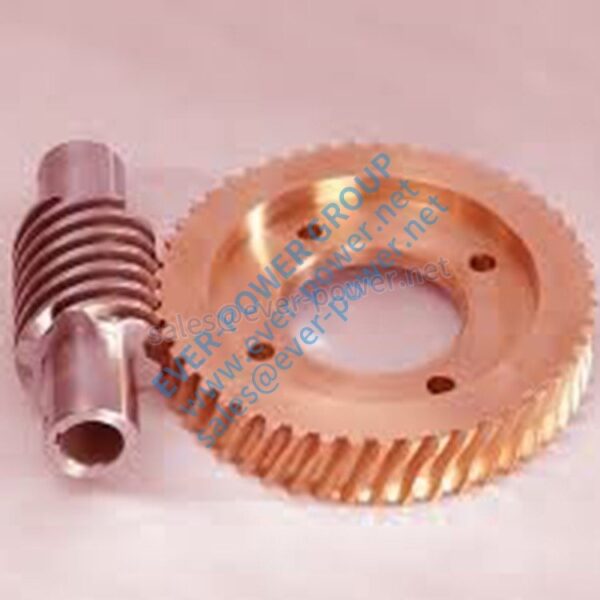 enveloping worm gear