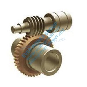 double threaded worm gear