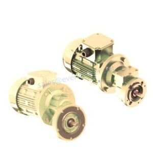 Poultry and Pig Geared Motors For Feeding Systems