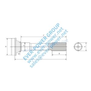 Spline shaft