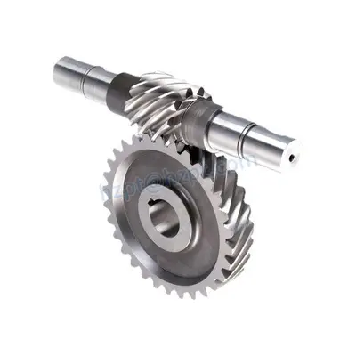 Stainless Steel Worm Gear