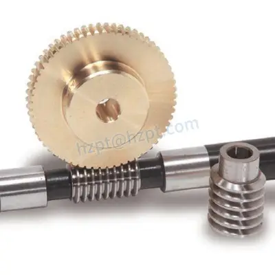 Duplex Worms Gear