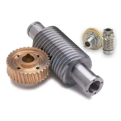 Alloy Steel Worm